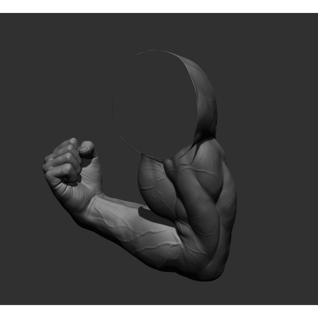Realistic Male Arms 3D Model – High Poly ZBrush Anatomy, FBX, OBJ - View 57