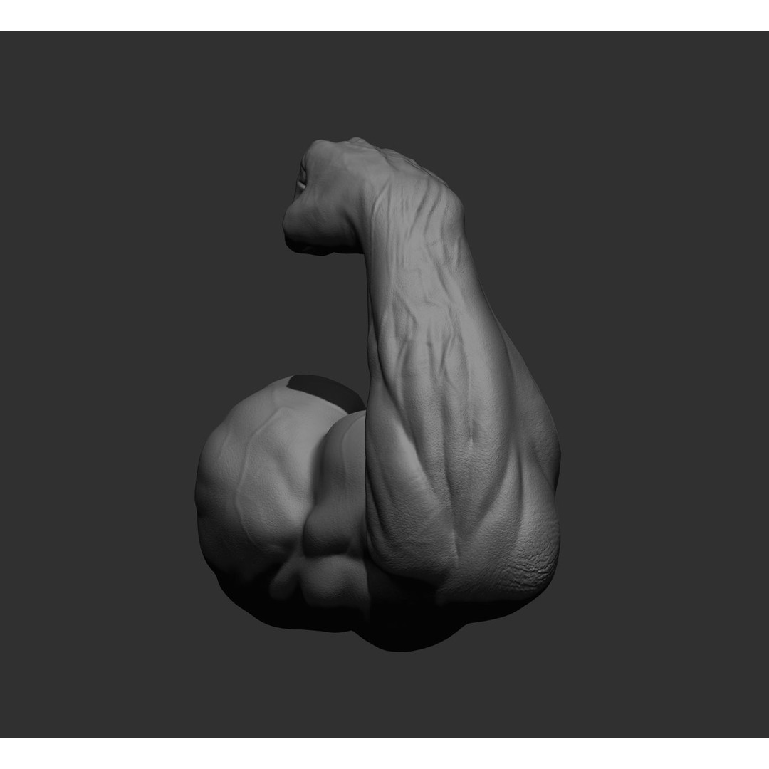 Realistic Male Arms 3D Model – High Poly ZBrush Anatomy, FBX, OBJ - View 62