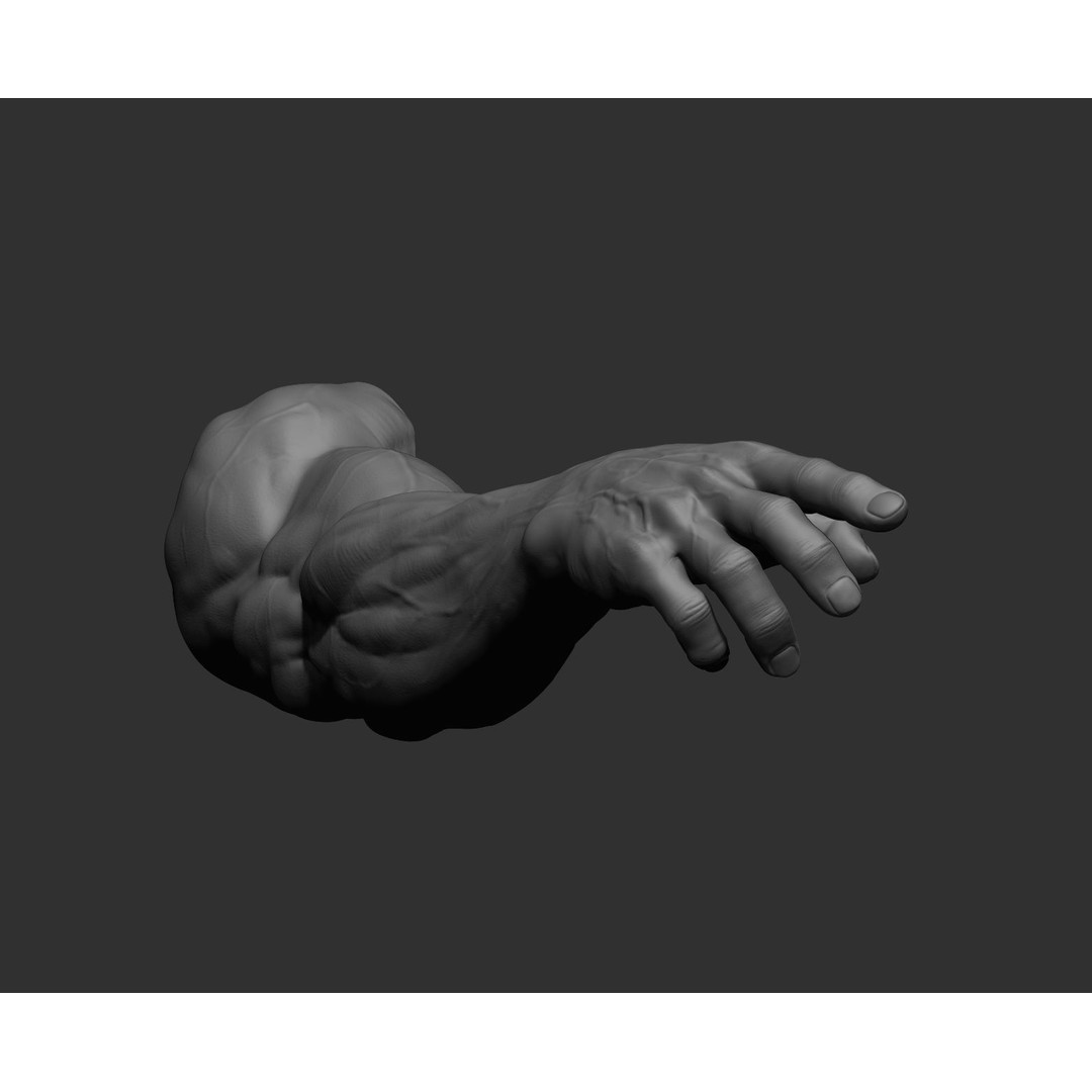 Realistic Male Arms 3D Model – High Poly ZBrush Anatomy, FBX, OBJ - View 64