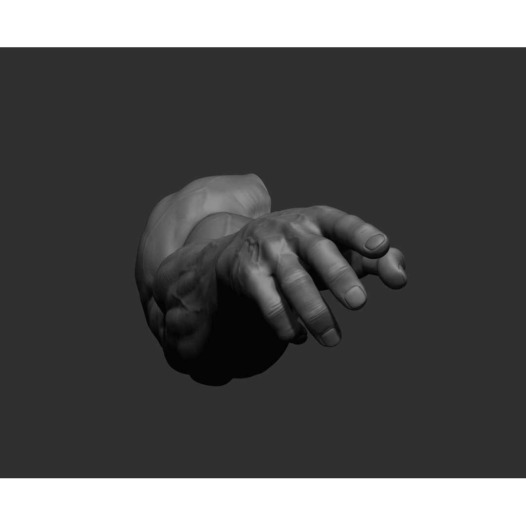 Realistic Male Arms 3D Model – High Poly ZBrush Anatomy, FBX, OBJ - View 65