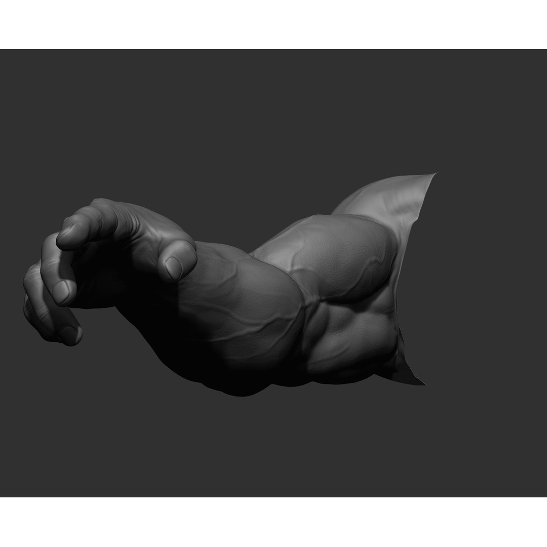 Realistic Male Arms 3D Model – High Poly ZBrush Anatomy, FBX, OBJ - View 66