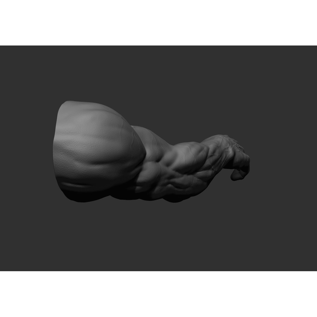 Realistic Male Arms 3D Model – High Poly ZBrush Anatomy, FBX, OBJ - View 68