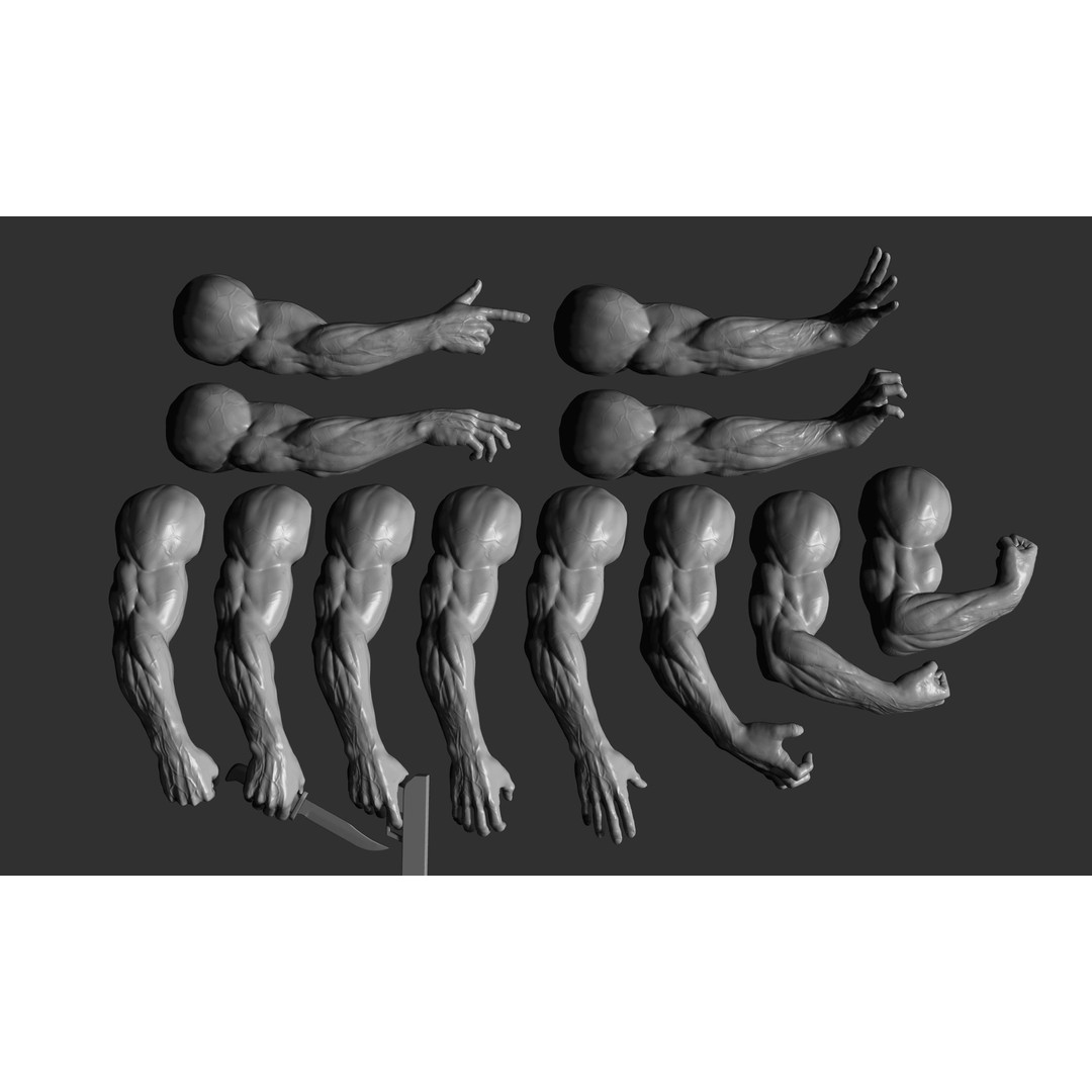 Realistic Male Arms 3D Model – High Poly ZBrush Anatomy, FBX, OBJ - View 7