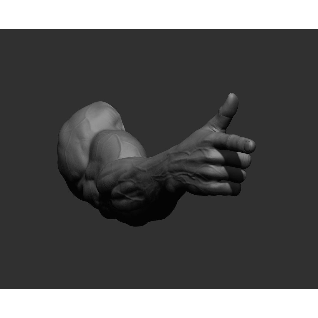 Realistic Male Arms 3D Model – High Poly ZBrush Anatomy, FBX, OBJ - View 71
