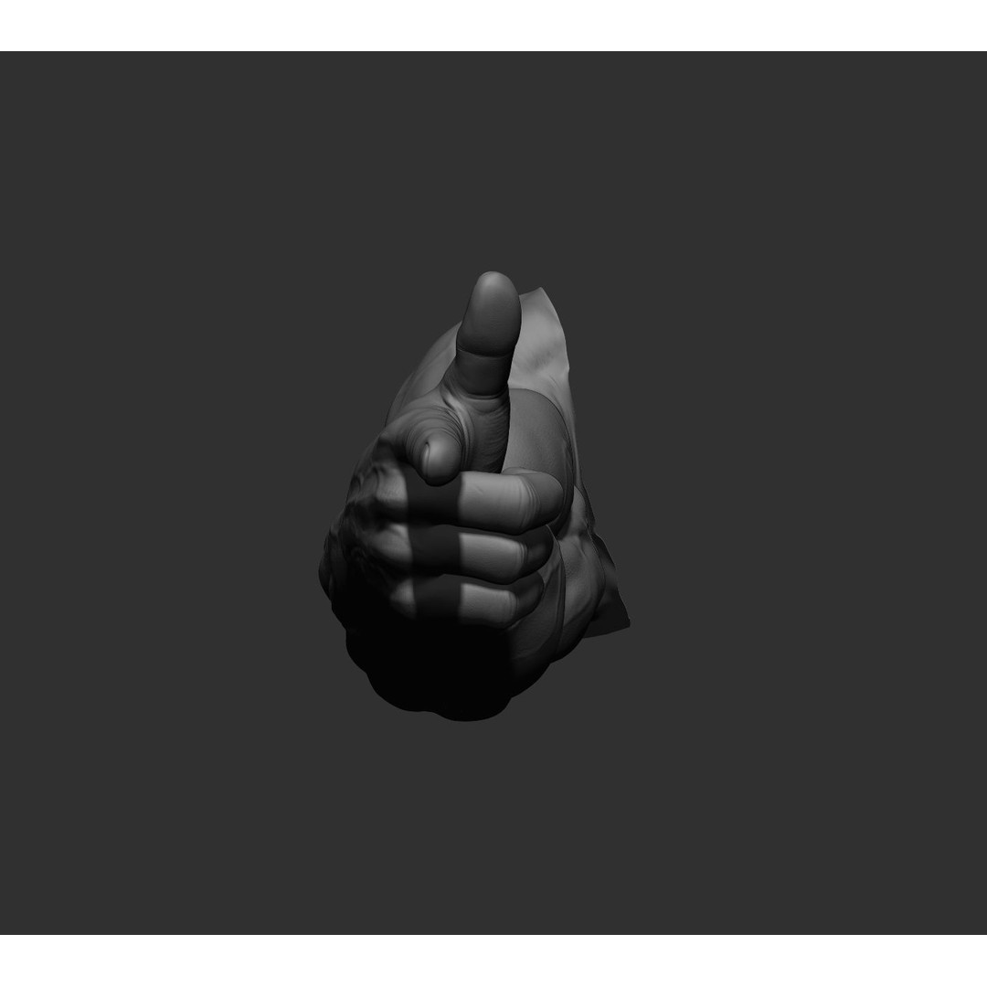 Realistic Male Arms 3D Model – High Poly ZBrush Anatomy, FBX, OBJ - View 72