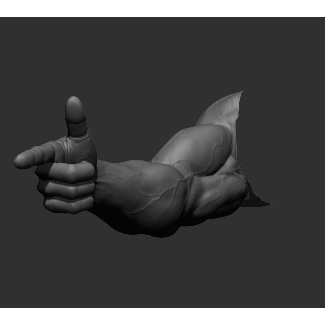 Realistic Male Arms 3D Model – High Poly ZBrush Anatomy, FBX, OBJ - View 73