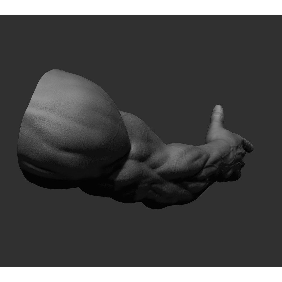 Realistic Male Arms 3D Model – High Poly ZBrush Anatomy, FBX, OBJ - View 74