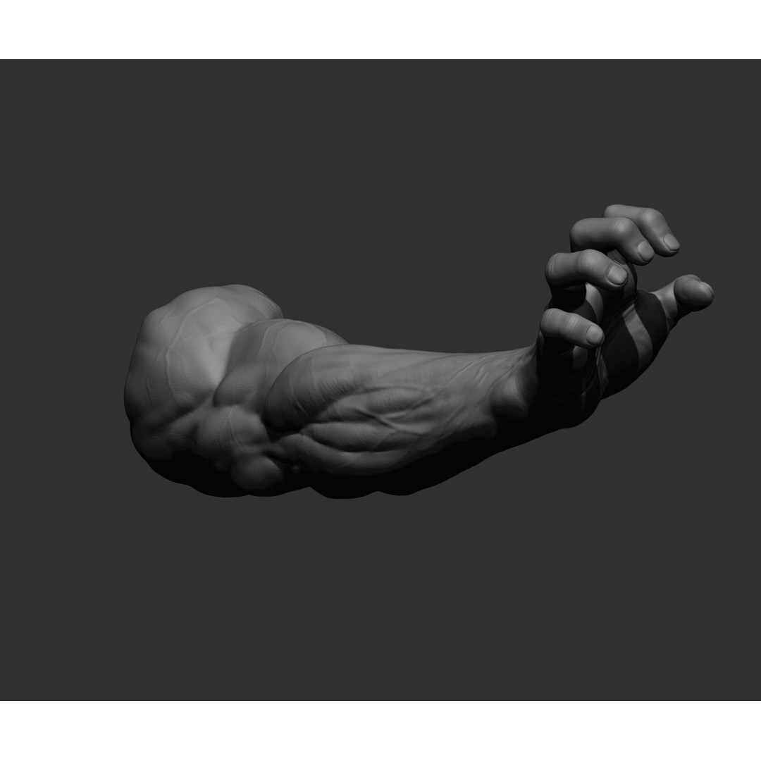 Realistic Male Arms 3D Model – High Poly ZBrush Anatomy, FBX, OBJ - View 76