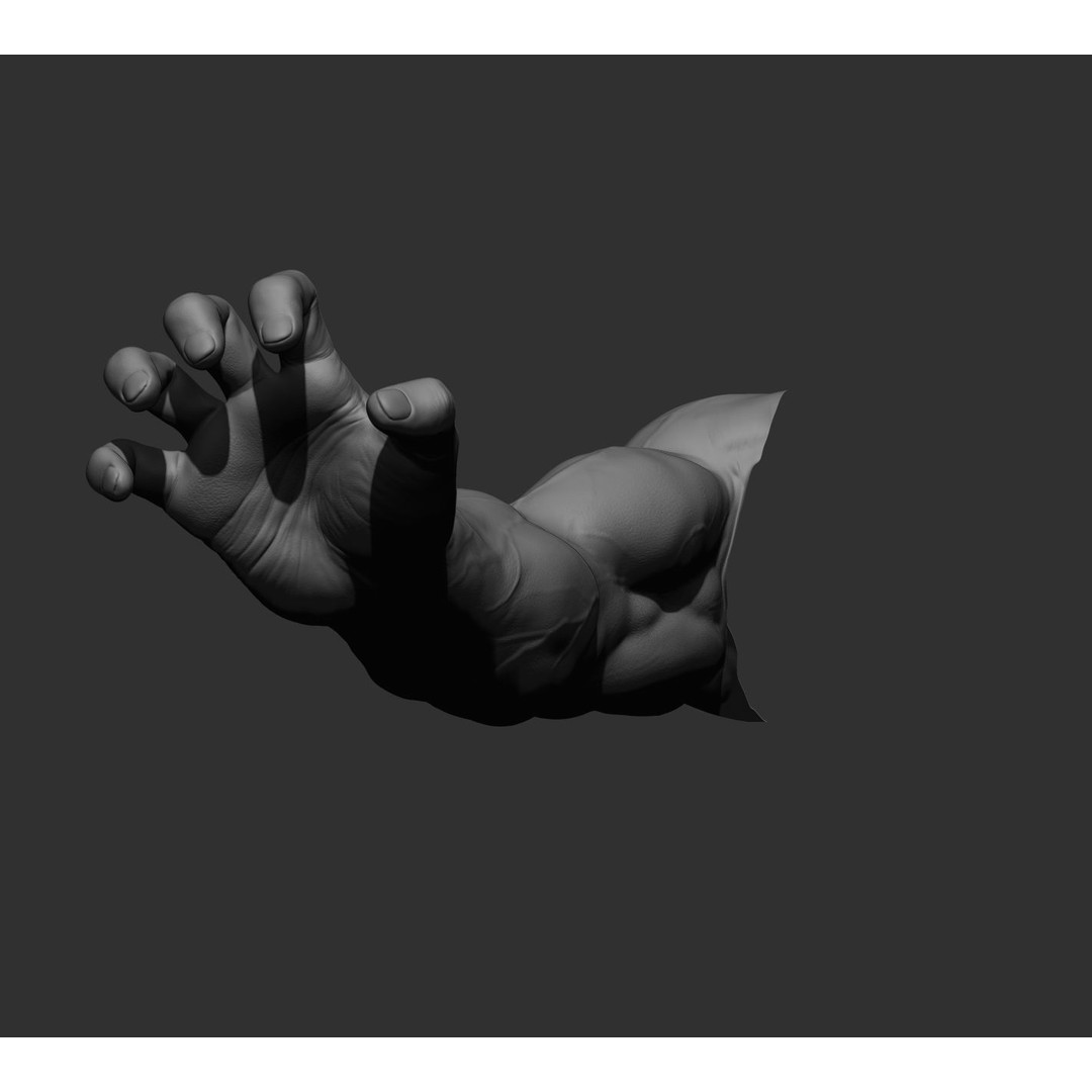 Realistic Male Arms 3D Model – High Poly ZBrush Anatomy, FBX, OBJ - View 77