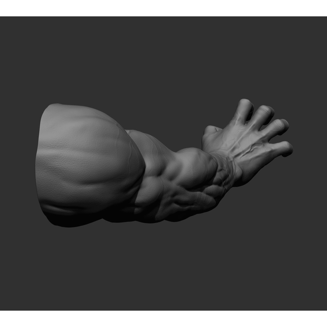 Realistic Male Arms 3D Model – High Poly ZBrush Anatomy, FBX, OBJ - View 78