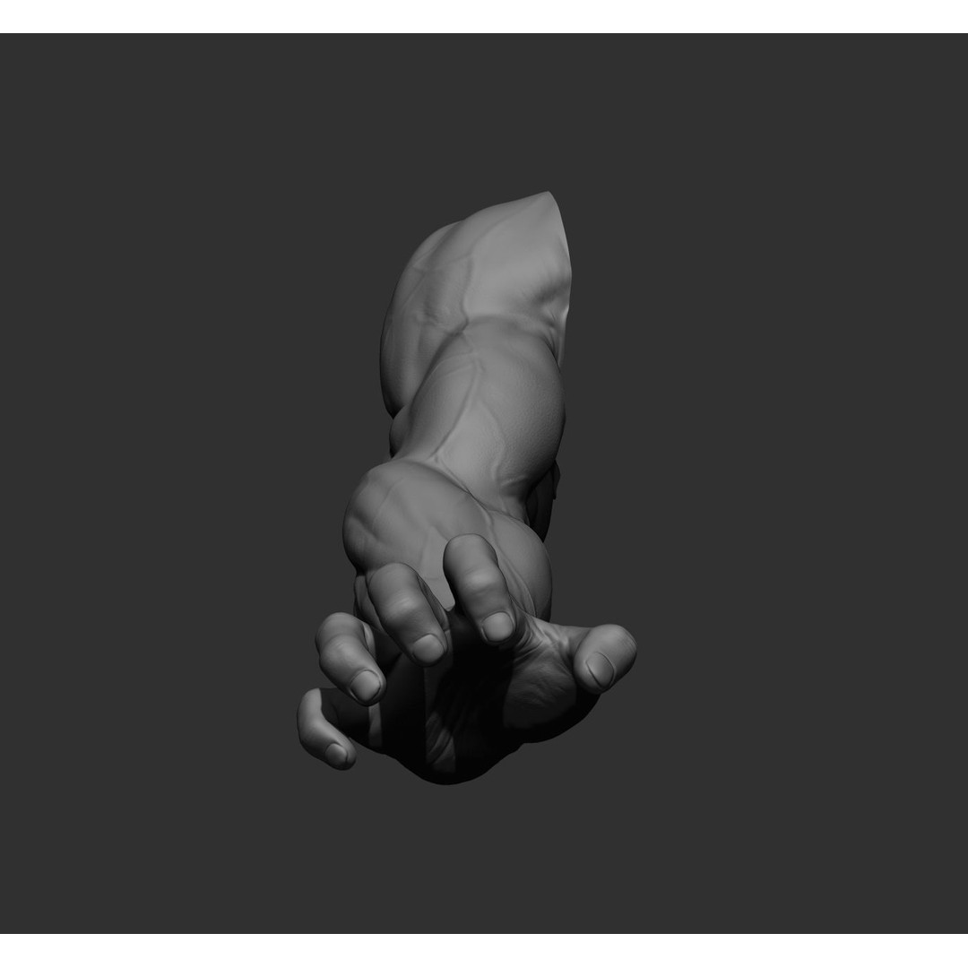 Realistic Male Arms 3D Model – High Poly ZBrush Anatomy, FBX, OBJ - View 79