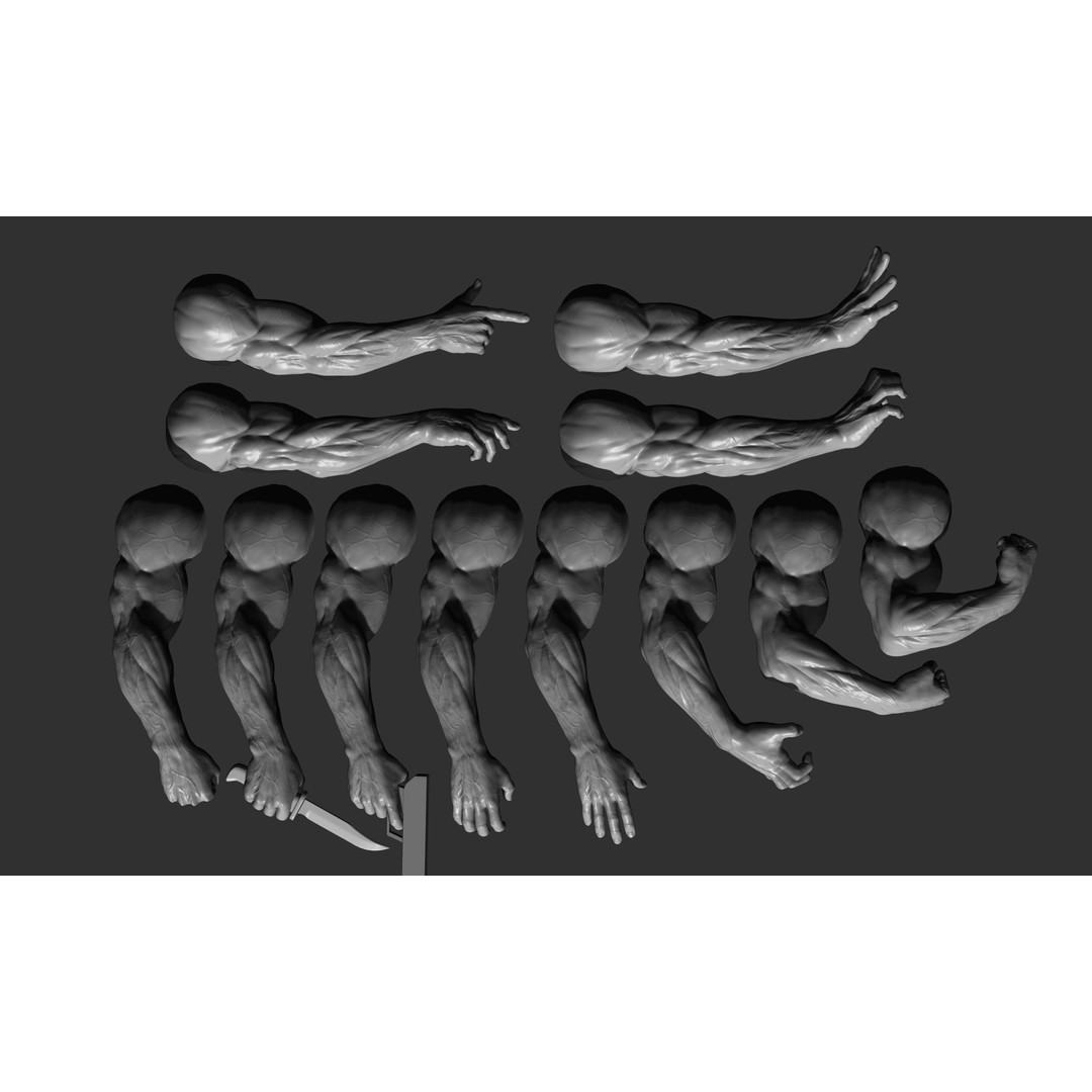 Realistic Male Arms 3D Model – High Poly ZBrush Anatomy, FBX, OBJ - View 8