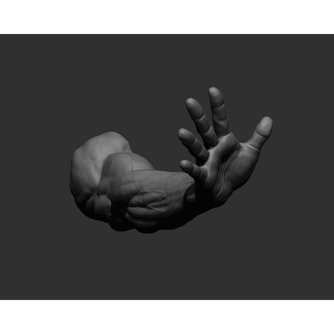 Realistic Male Arms 3D Model – High Poly ZBrush Anatomy, FBX, OBJ - View 81
