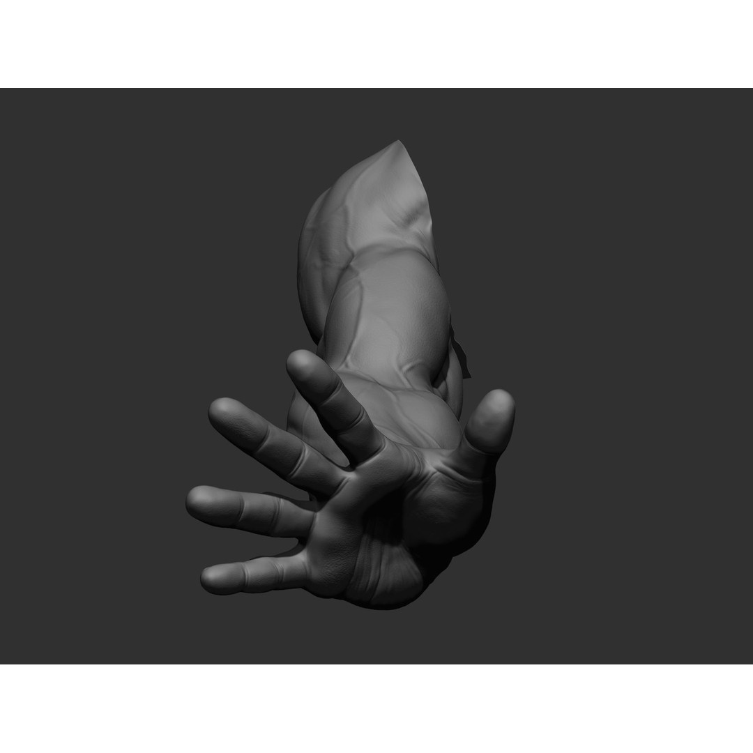 Realistic Male Arms 3D Model – High Poly ZBrush Anatomy, FBX, OBJ - View 84