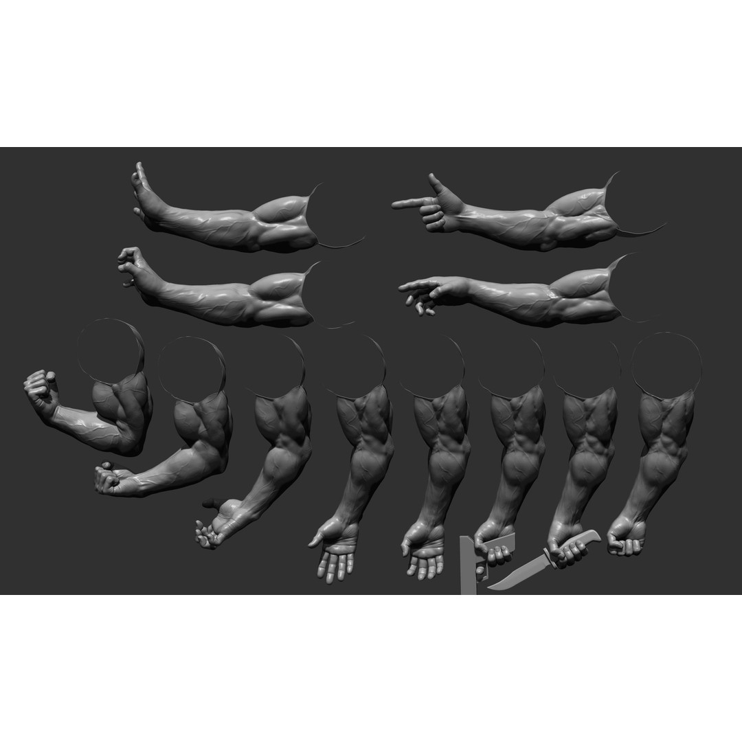 Realistic Male Arms 3D Model – High Poly ZBrush Anatomy, FBX, OBJ - View 9