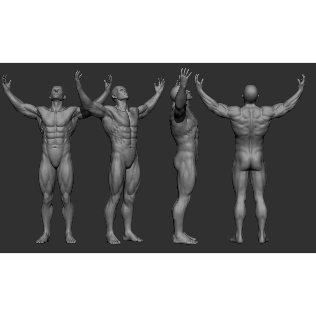 Male Full Body Poses 3D Model – High Poly ZBrush Sculpt, FBX, OBJ - View 15