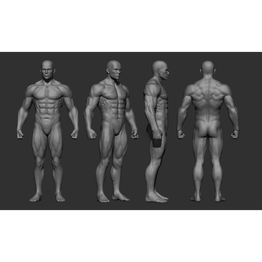 Male Full Body Poses 3D Model – High Poly ZBrush Sculpt, FBX, OBJ - View 17