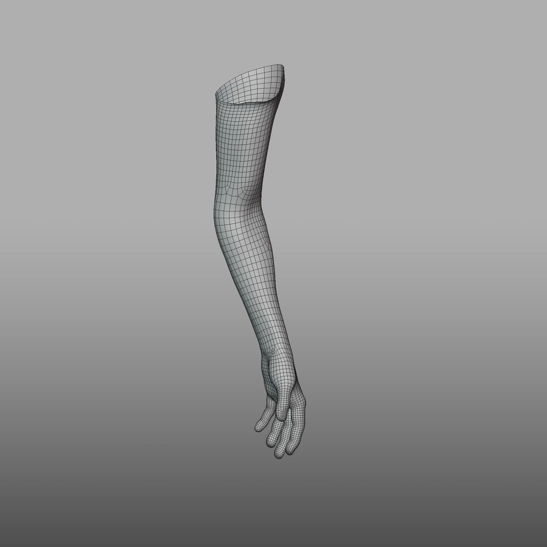 Dark-Skinned Hand 3D Model – Rigged Animated Character Asset, FBX - View 12