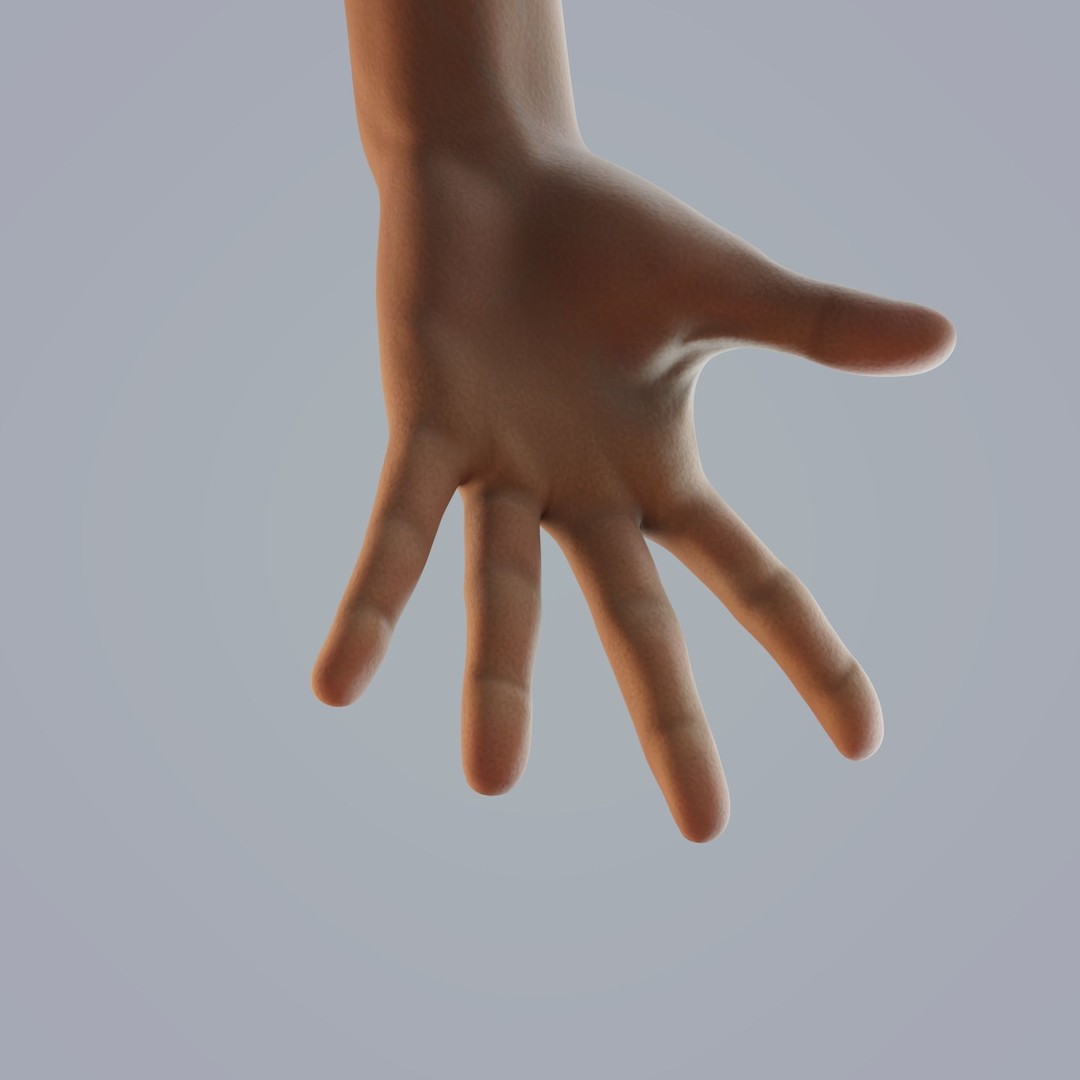 Dark-Skinned Hand 3D Model – Rigged Animated Character Asset, FBX - View 5