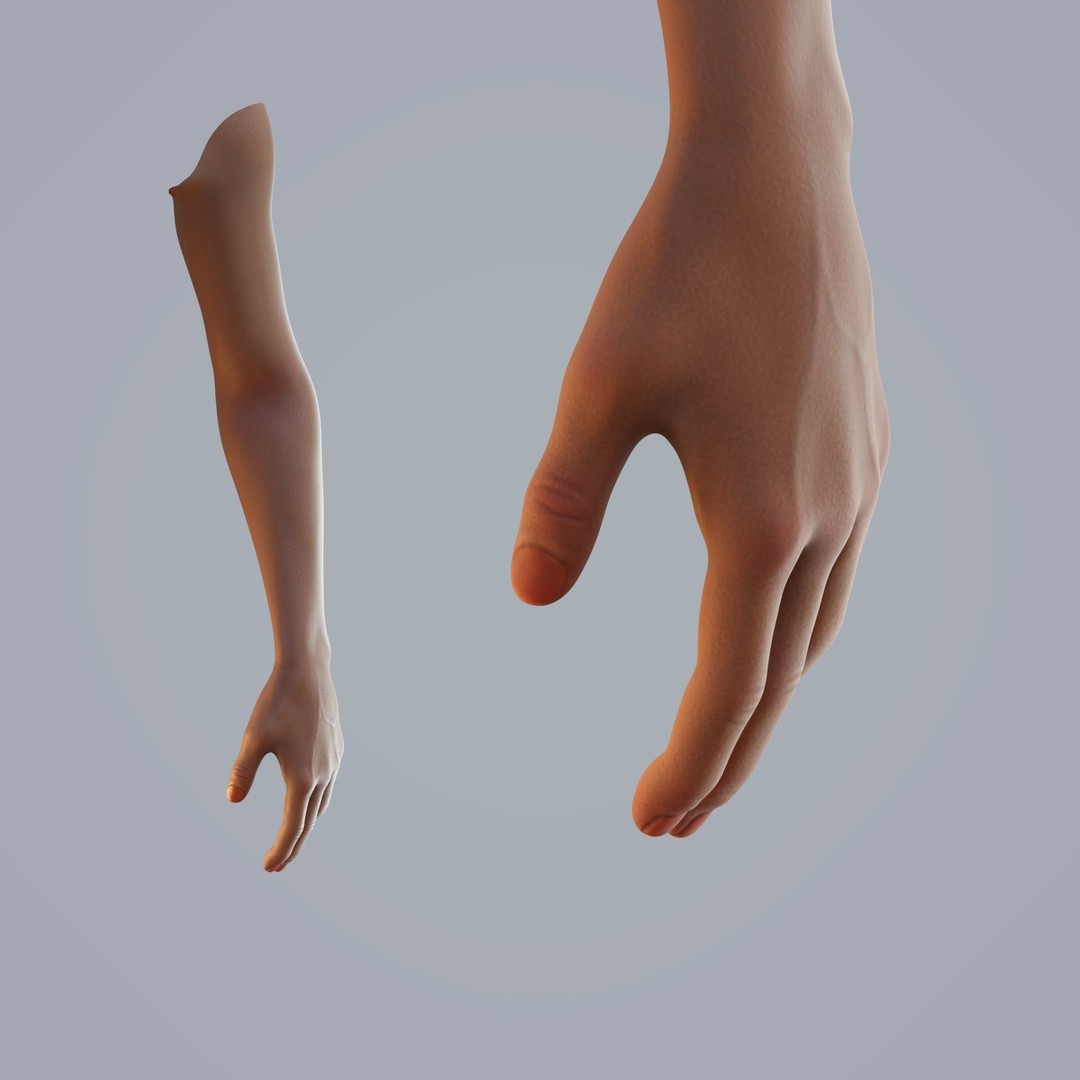 Dark-Skinned Hand 3D Model – Rigged Animated Character Asset, FBX - View 6