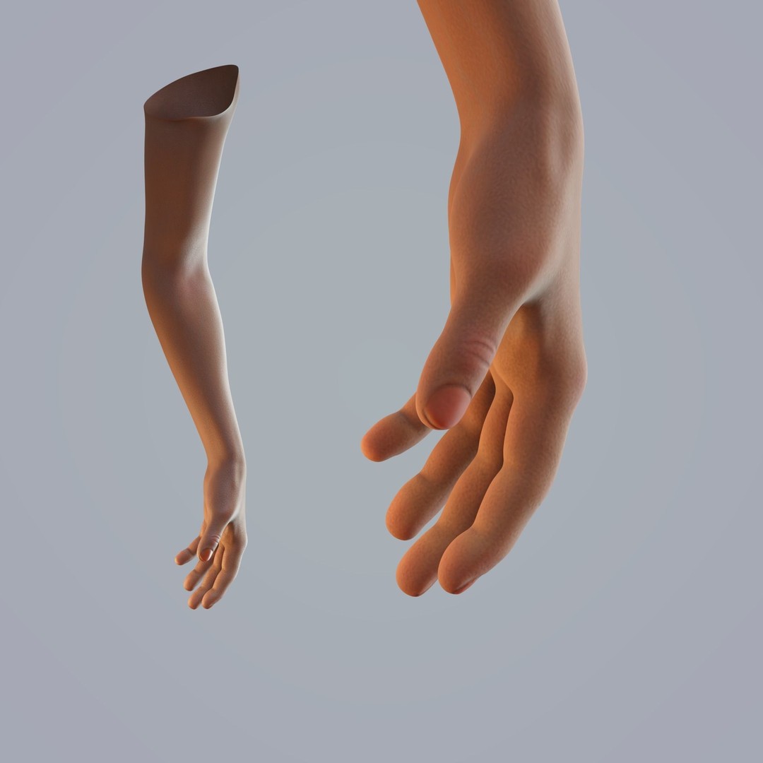 Dark-Skinned Hand 3D Model – Rigged Animated Character Asset, FBX - View 7