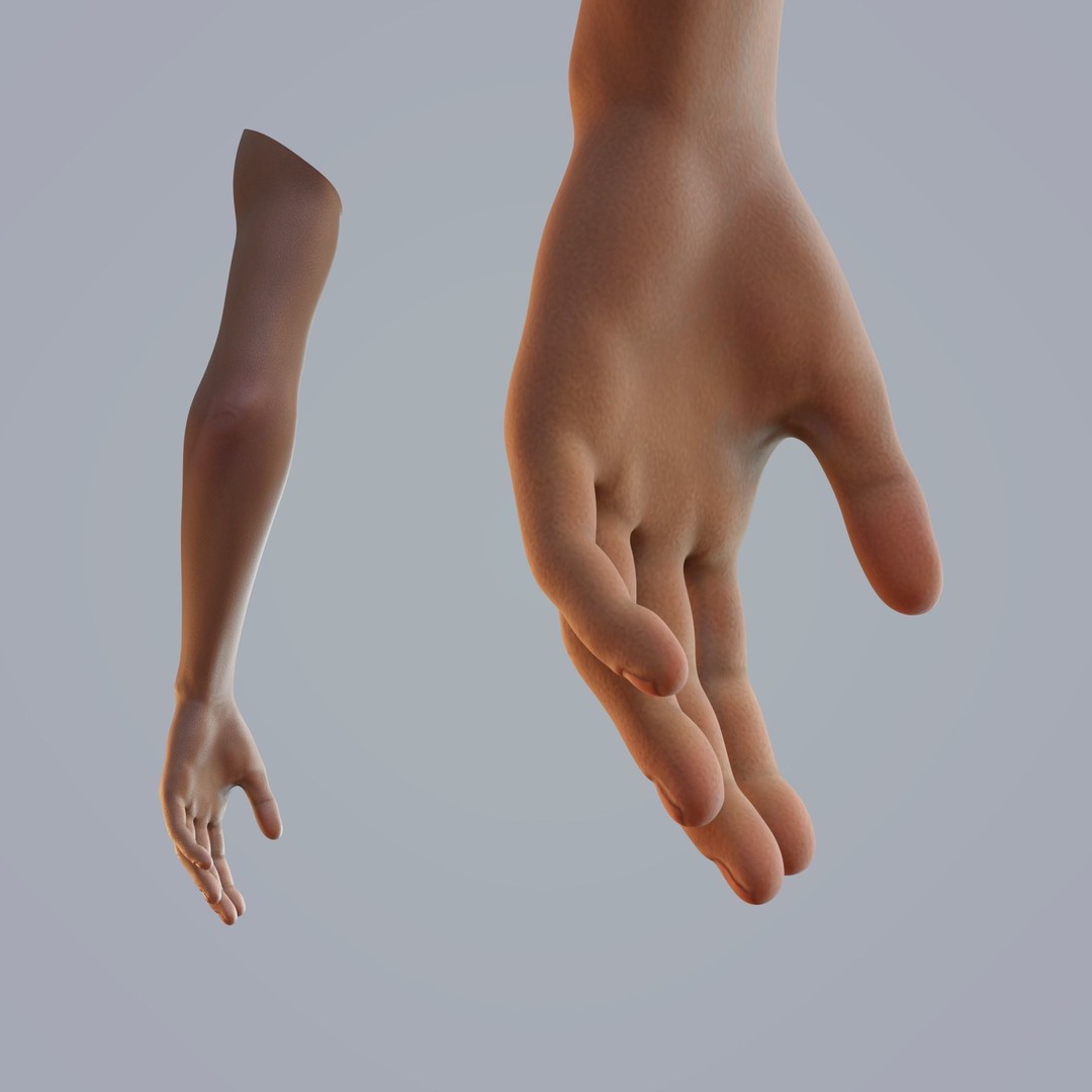 Dark-Skinned Hand 3D Model – Rigged Animated Character Asset, FBX - View 8