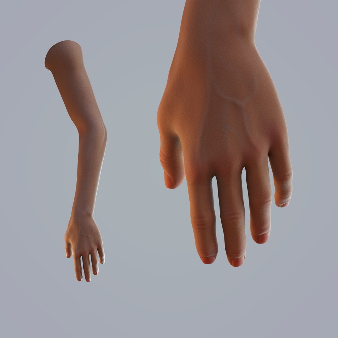 Dark-Skinned Hand 3D Model – Rigged Animated Character Asset, FBX - View 9