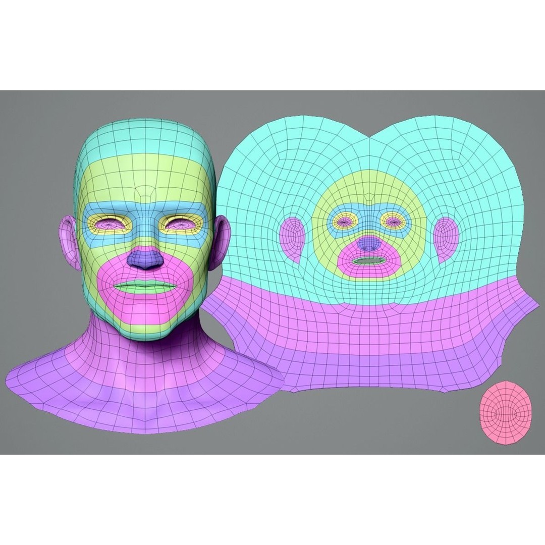 Cartoon Characters Base Mesh 3D Model – Male and Female, High Poly, FBX, Blender - View 8