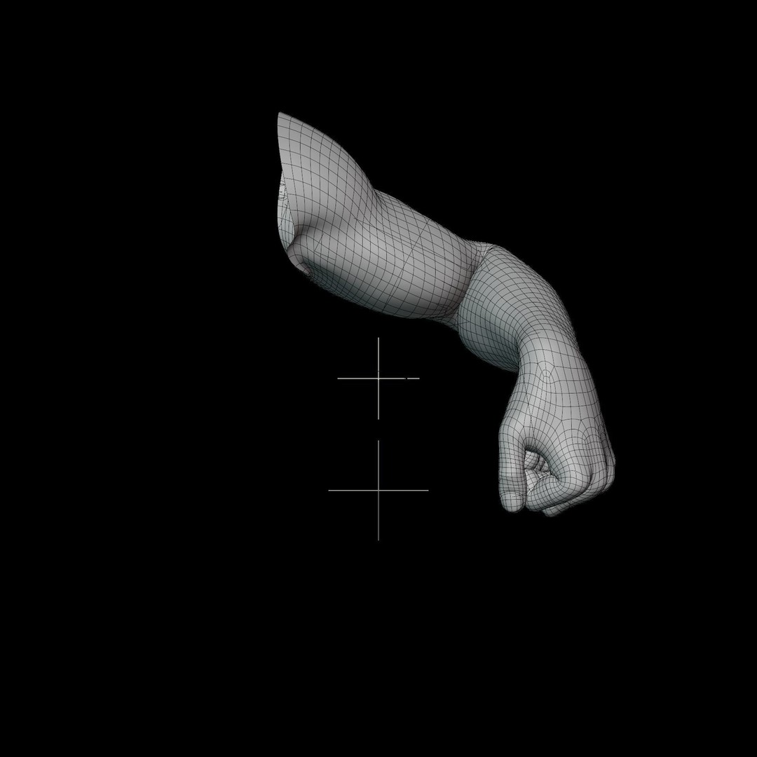 Hand Anatomy 3D Model – Rigged Realistic Character for Animation, FBX