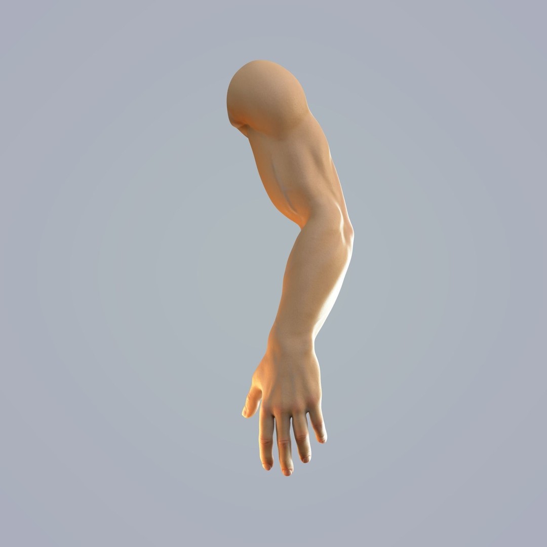 Hand Anatomy 3D Model – Rigged Realistic Character for Animation, FBX - View 10