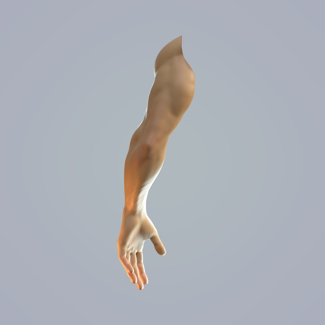 Hand Anatomy 3D Model – Rigged Realistic Character for Animation, FBX - View 11