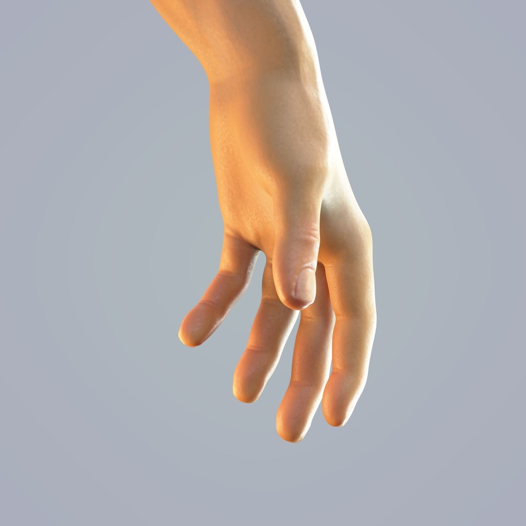 Hand Anatomy 3D Model – Rigged Realistic Character for Animation, FBX - View 12