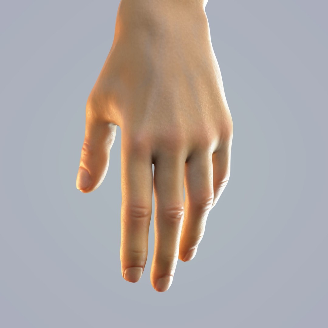 Hand Anatomy 3D Model – Rigged Realistic Character for Animation, FBX - View 13