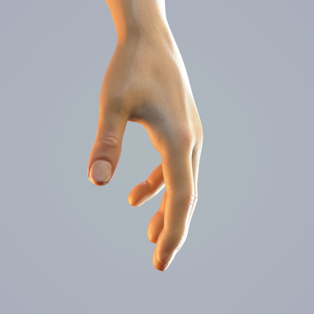 Hand Anatomy 3D Model – Rigged Realistic Character for Animation, FBX - View 14
