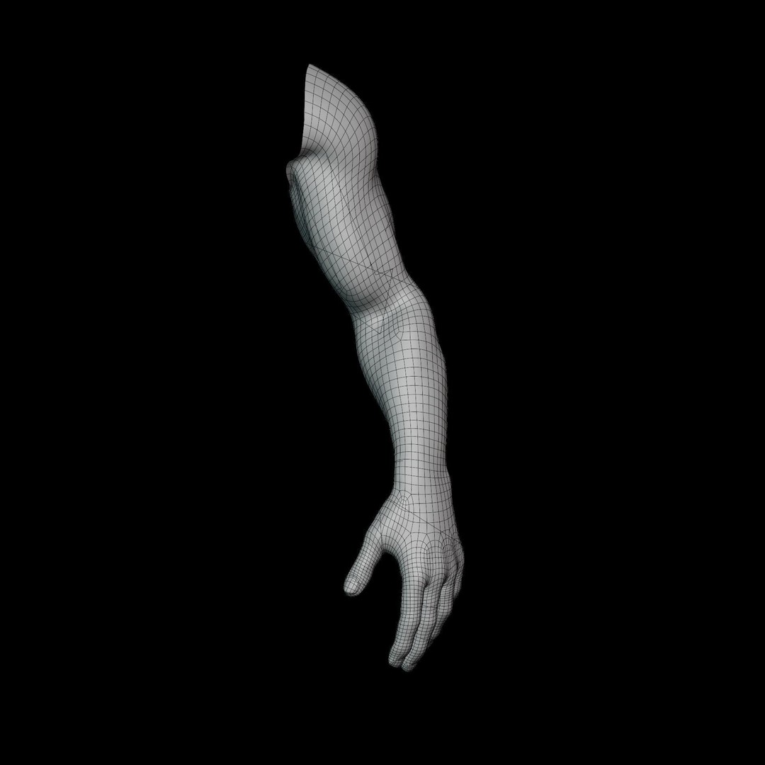 Hand Anatomy 3D Model – Rigged Realistic Character for Animation, FBX - View 17