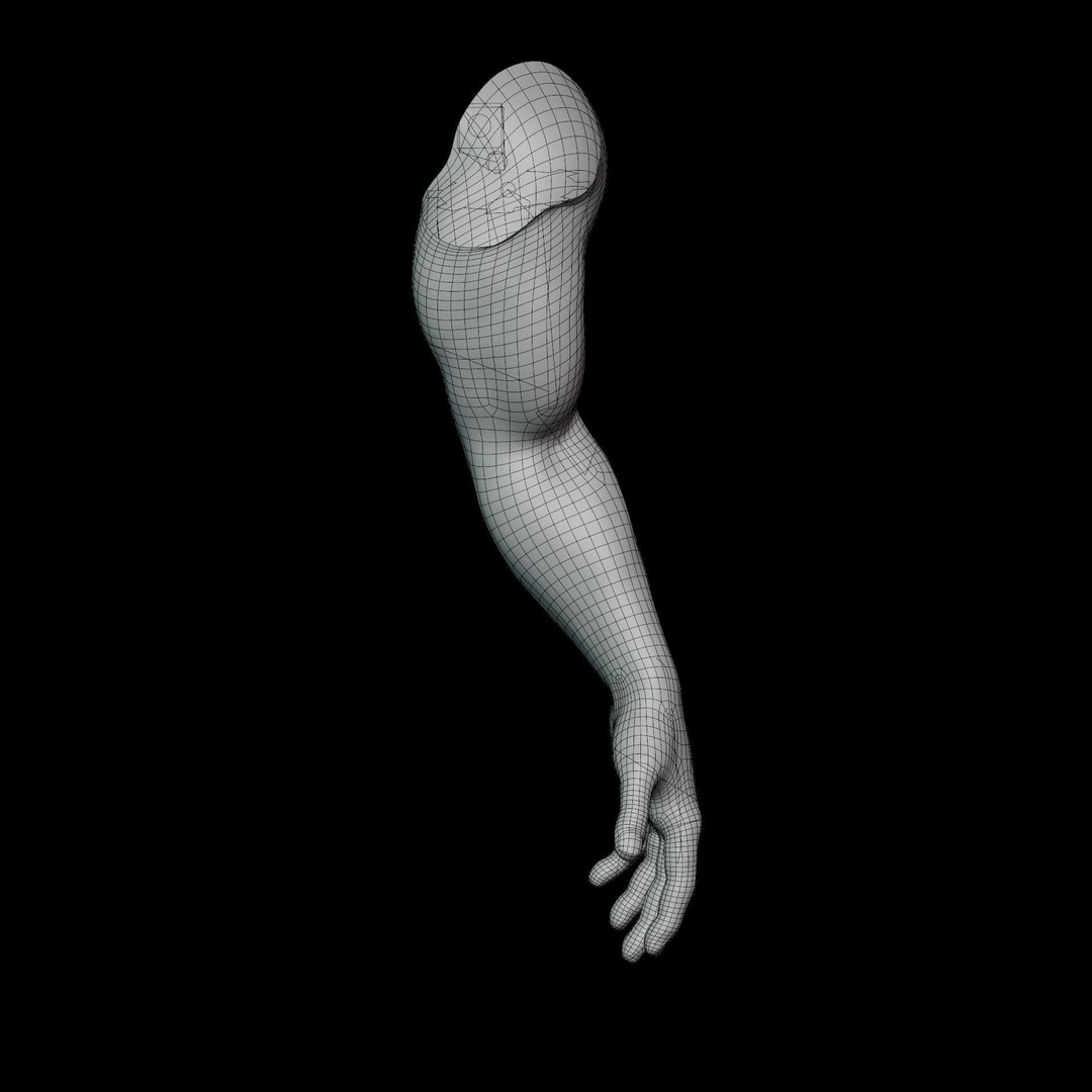 Hand Anatomy 3D Model – Rigged Realistic Character for Animation, FBX - View 18