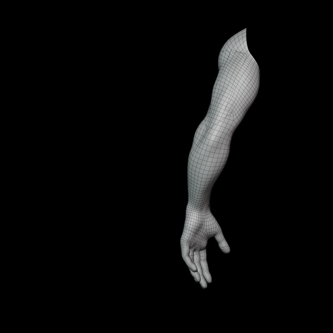 Hand Anatomy 3D Model – Rigged Realistic Character for Animation, FBX - View 19