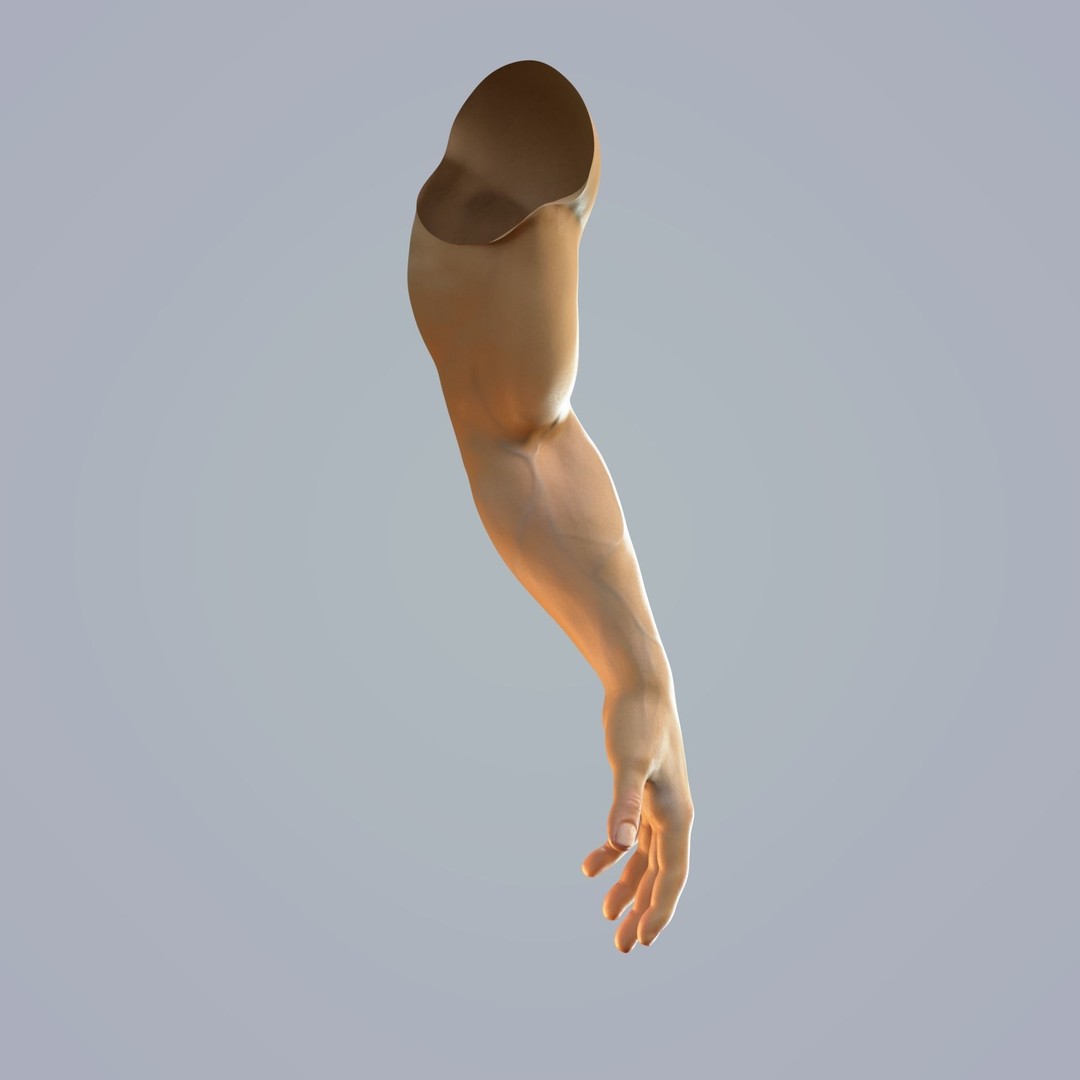 Hand Anatomy 3D Model – Rigged Realistic Character for Animation, FBX - View 4