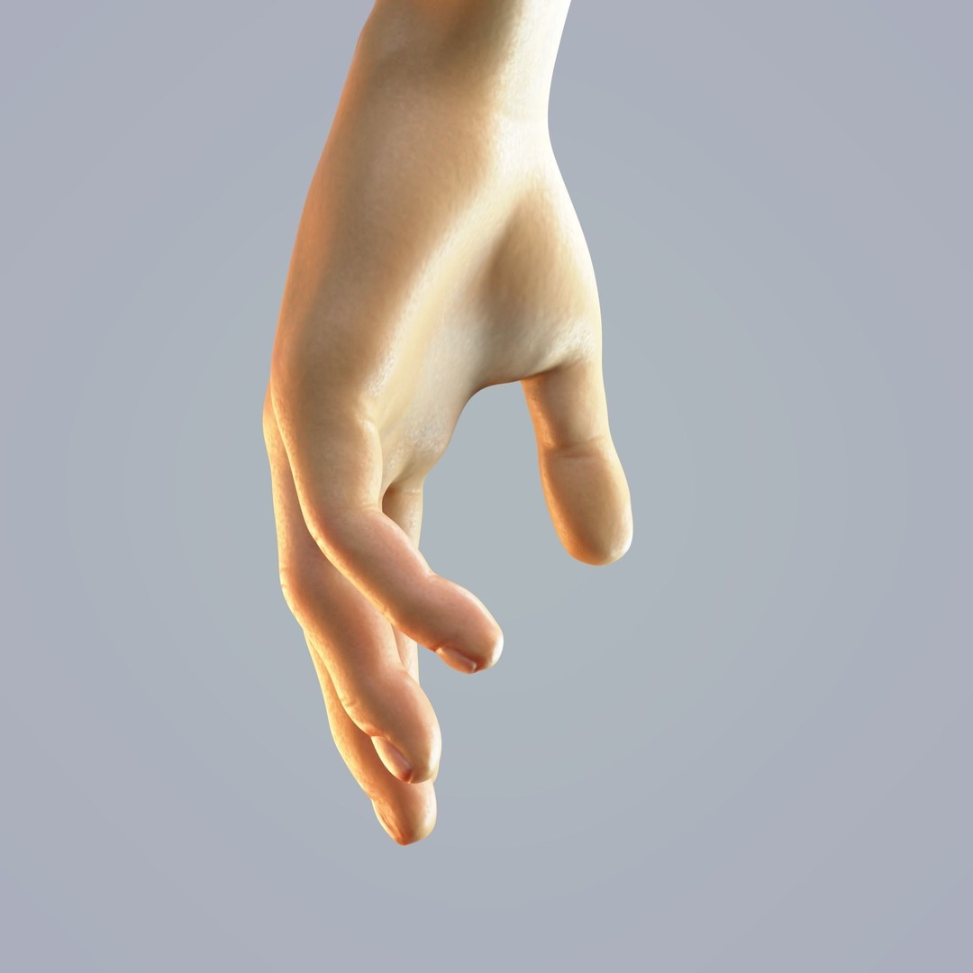Hand Anatomy 3D Model – Rigged Realistic Character for Animation, FBX - View 5
