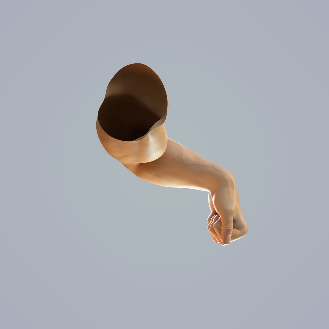 Hand Anatomy 3D Model – Rigged Realistic Character for Animation, FBX - View 7