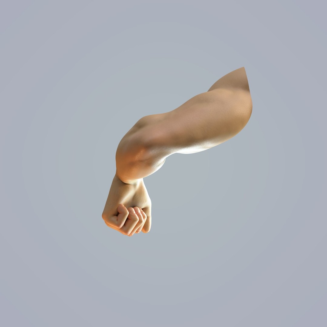 Hand Anatomy 3D Model – Rigged Realistic Character for Animation, FBX - View 8