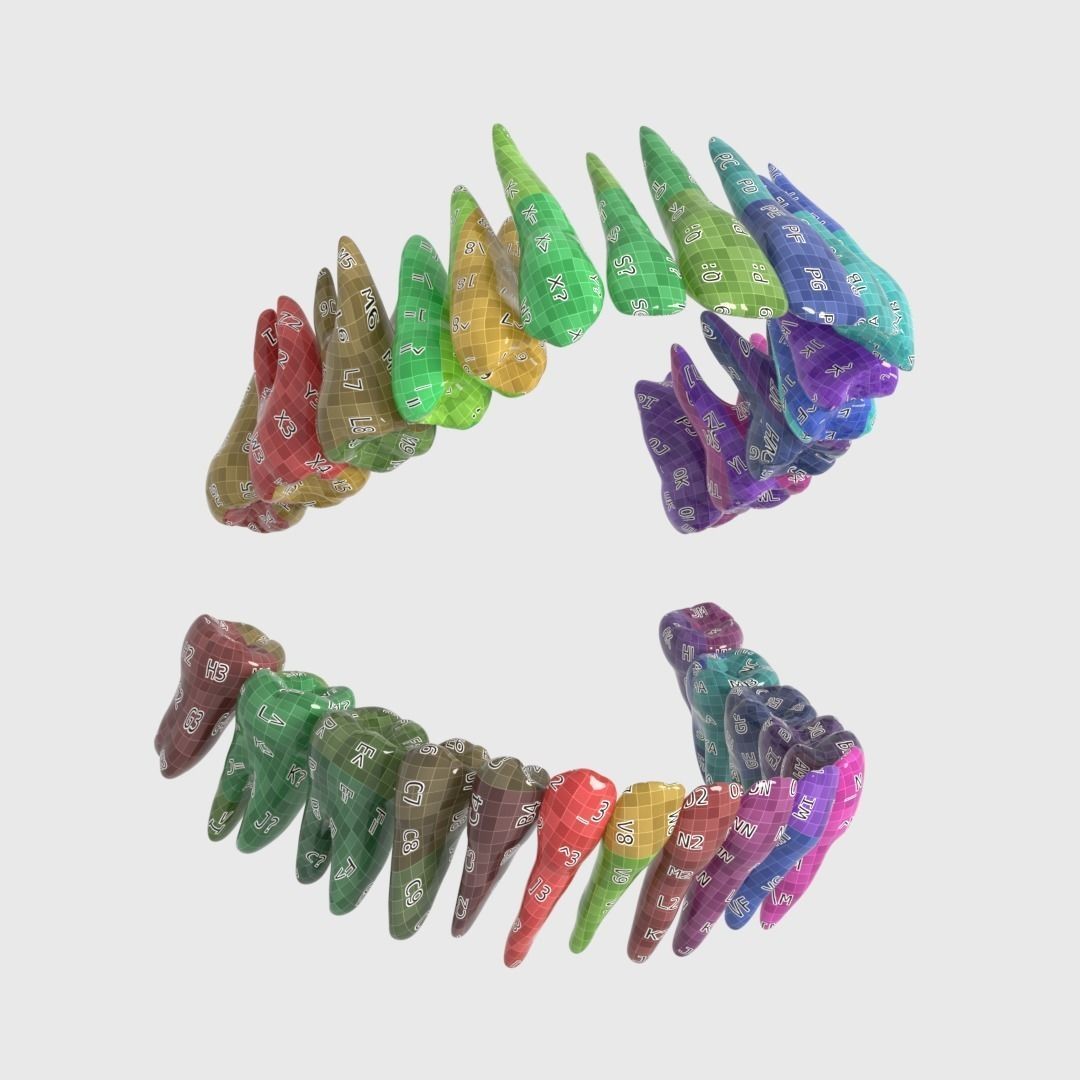 Photorealistic Human Teeth 3D Model – Low Poly PBR Anatomy Asset, FBX - View 19