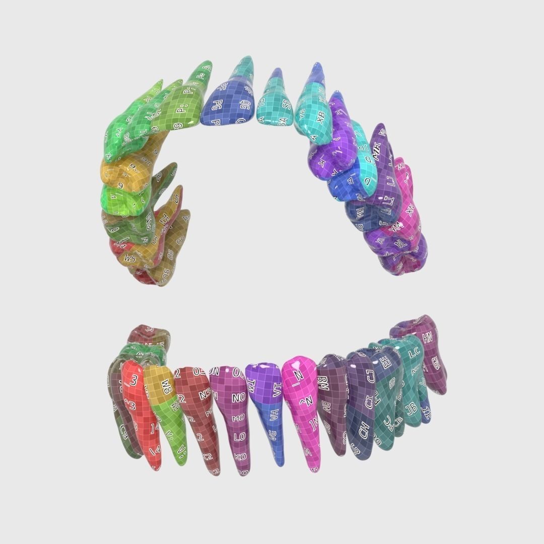 Photorealistic Human Teeth 3D Model – Low Poly PBR Anatomy Asset, FBX - View 20