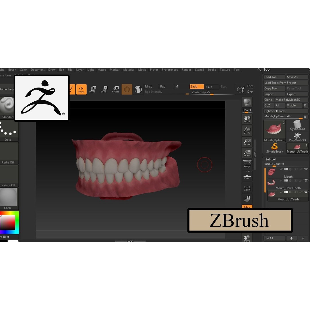 Realistic Mouth 3D Model – Low Poly Rigged Character Asset, FBX - View 10