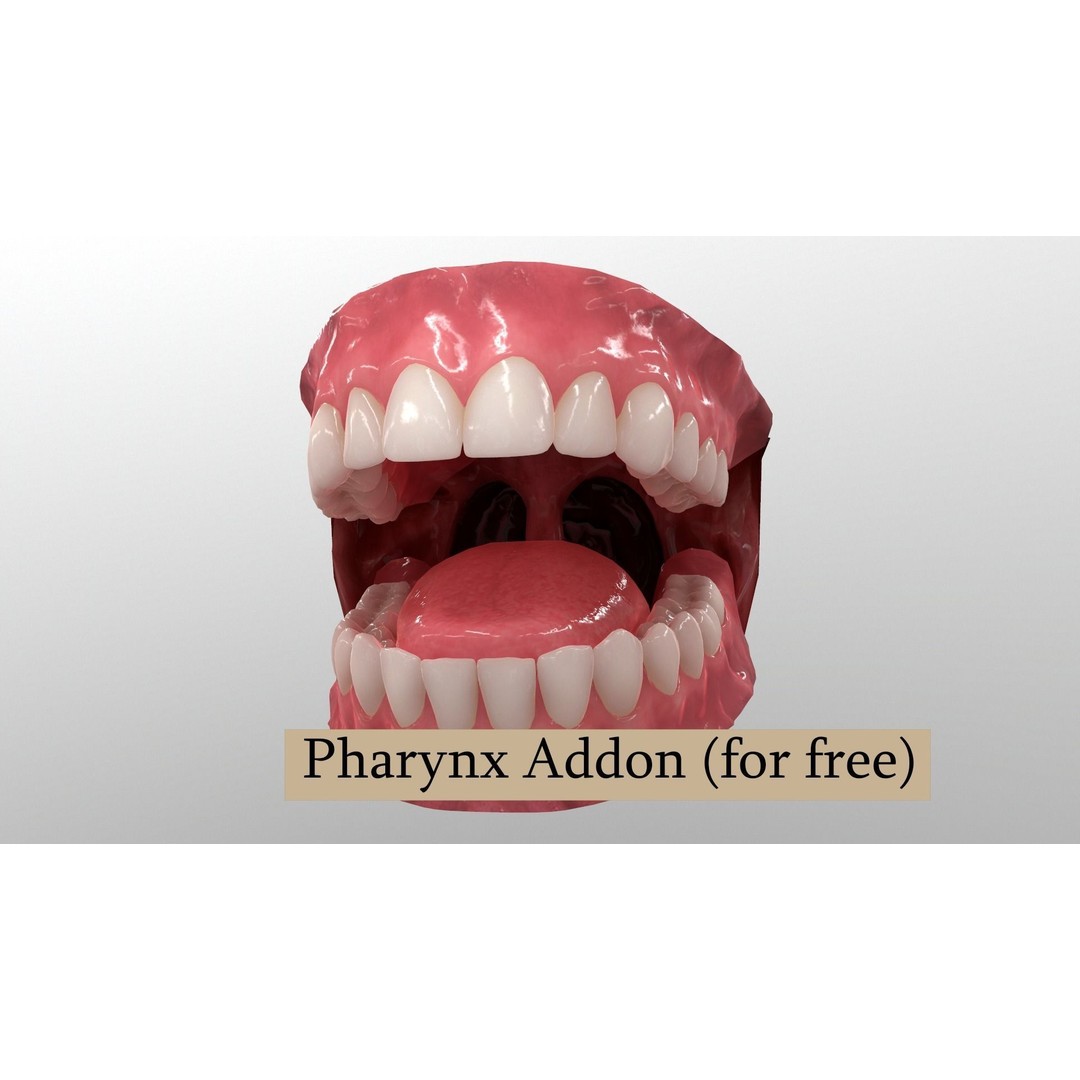 Realistic Mouth 3D Model – Low Poly Rigged Character Asset, FBX - View 11