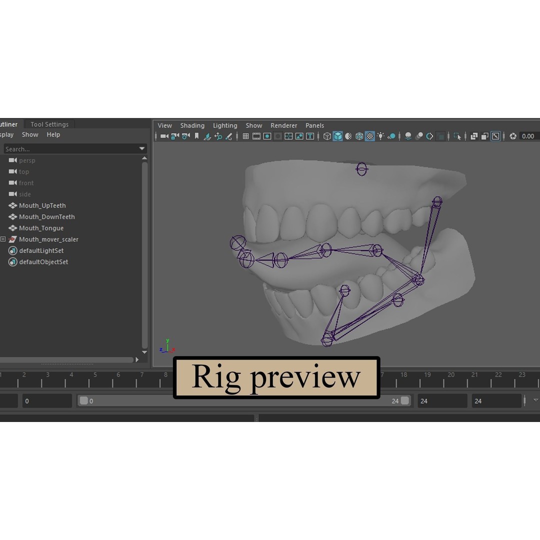 Realistic Mouth 3D Model – Low Poly Rigged Character Asset, FBX - View 13