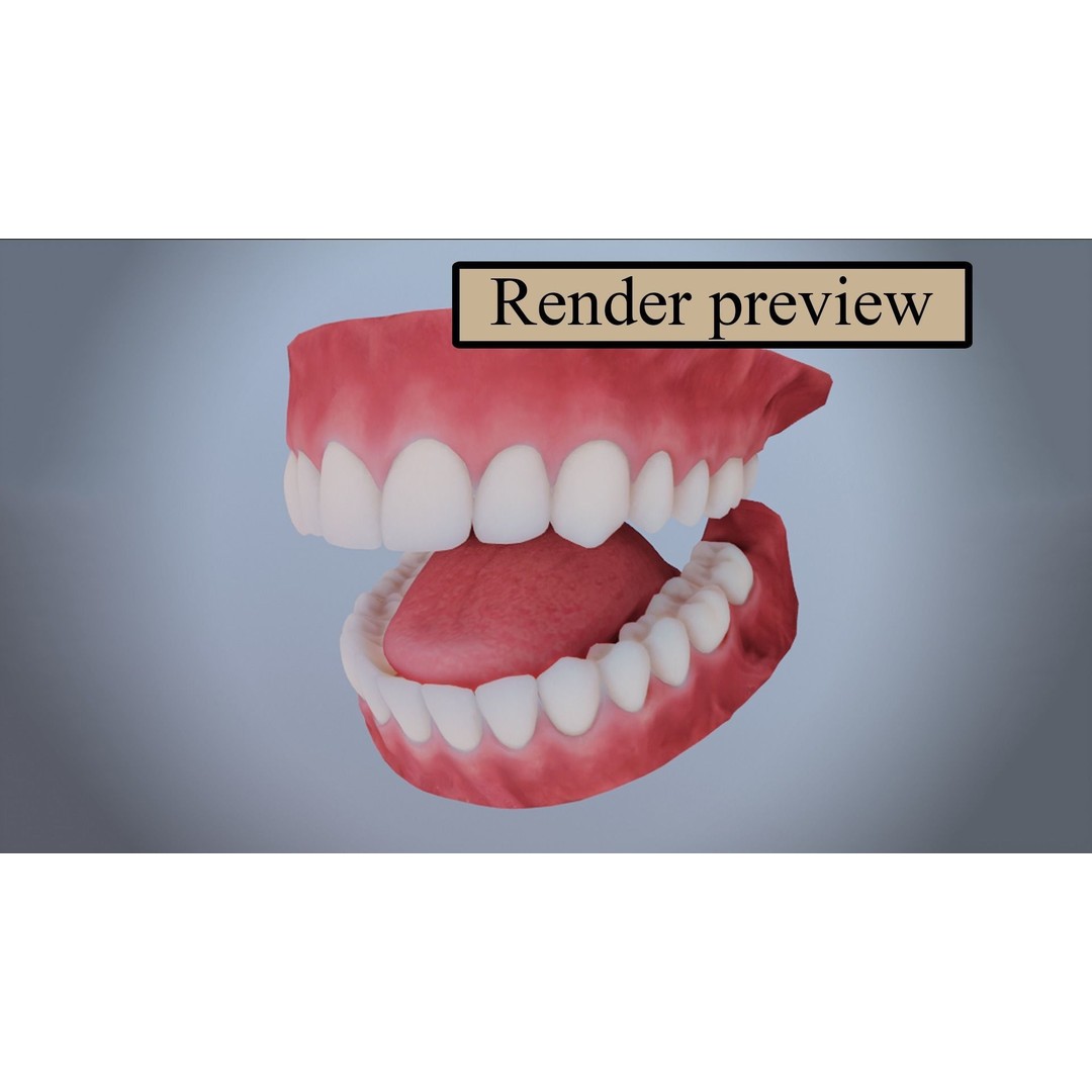 Realistic Mouth 3D Model – Low Poly Rigged Character Asset, FBX - View 16