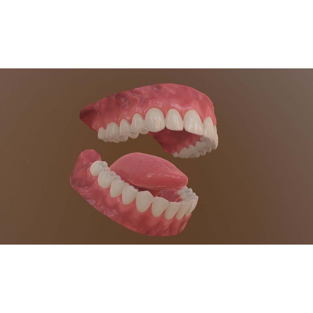 Realistic Mouth 3D Model – Low Poly Rigged Character Asset, FBX - View 18