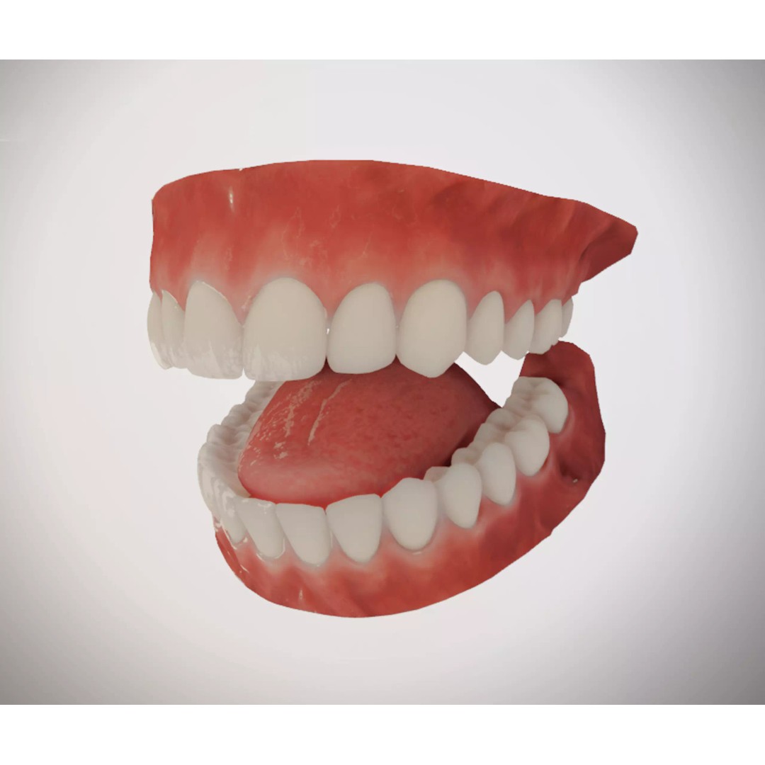 Realistic Mouth 3D Model – Low Poly Rigged Character Asset, FBX - View 2