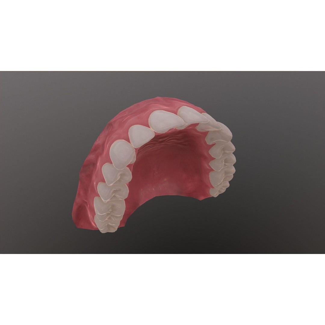Realistic Mouth 3D Model – Low Poly Rigged Character Asset, FBX - View 20